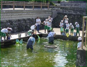 生息池清掃活動の写真