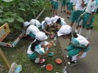 完成した南小学校花壇2