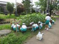 完成した南小学校花壇3