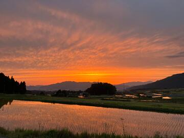加藤商店～石谷に行く農道