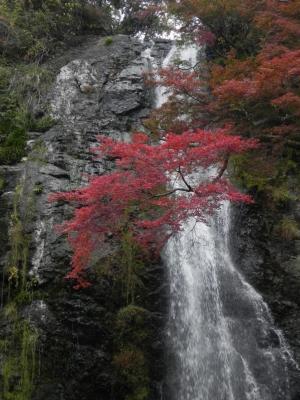 箕面の滝近景