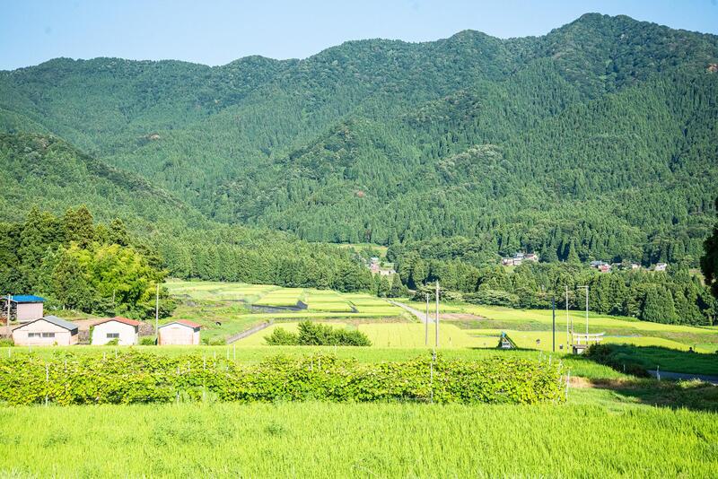 著名アーティストのカバーアートの景色ではないかと話題になった阪谷地区の田園風景写真