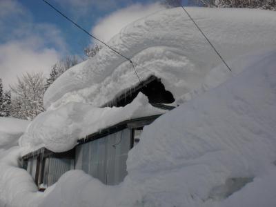 雪に埋もれる民家