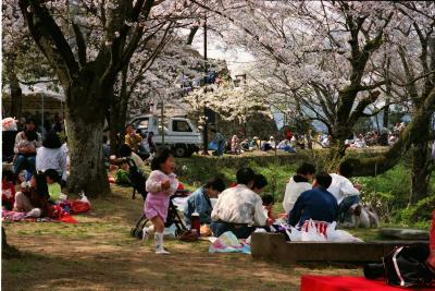 お花見を楽しむ市民の様子