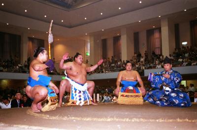 横綱の土俵入り