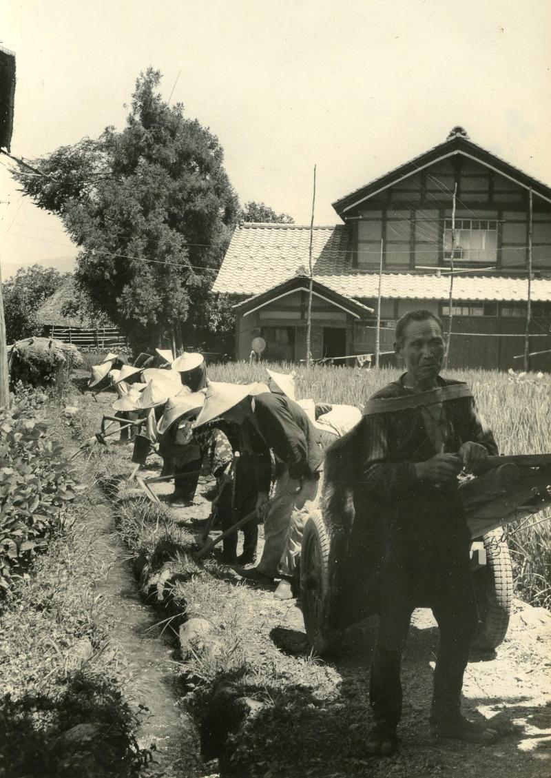 農村の共同作業