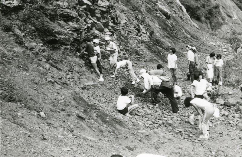 化石採集
