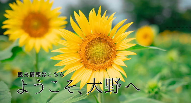 スターランドさかだにひまわり　クリックでえちぜんおおの観光ガイドホームページへ移動します