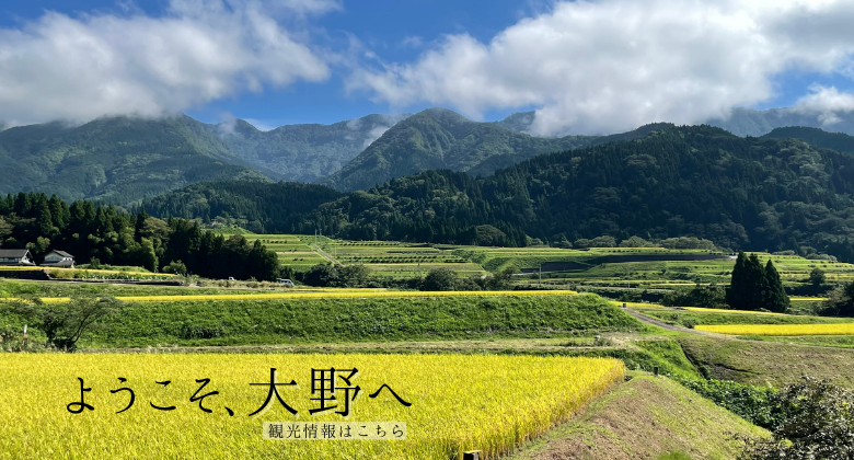 六呂師の稲　クリックでえちぜんおおの観光ガイドホームページへ移動します