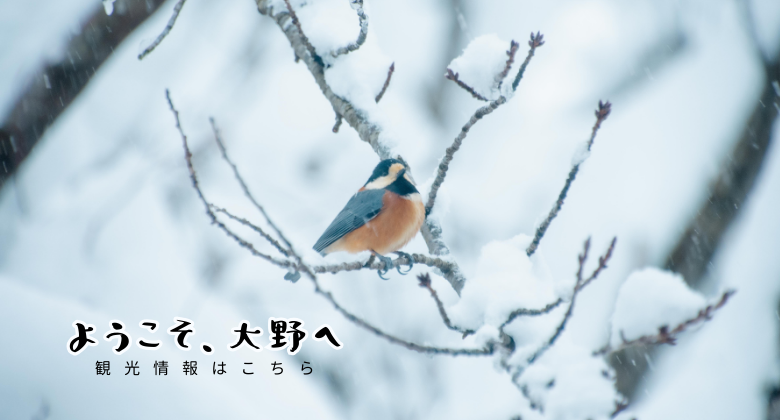 冬の野鳥レストラン　クリックでえちぜんおおの観光ガイドホームページへ移動します