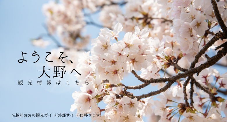 桜　クリックでえちぜんおおの観光ガイドホームページへ移動します
