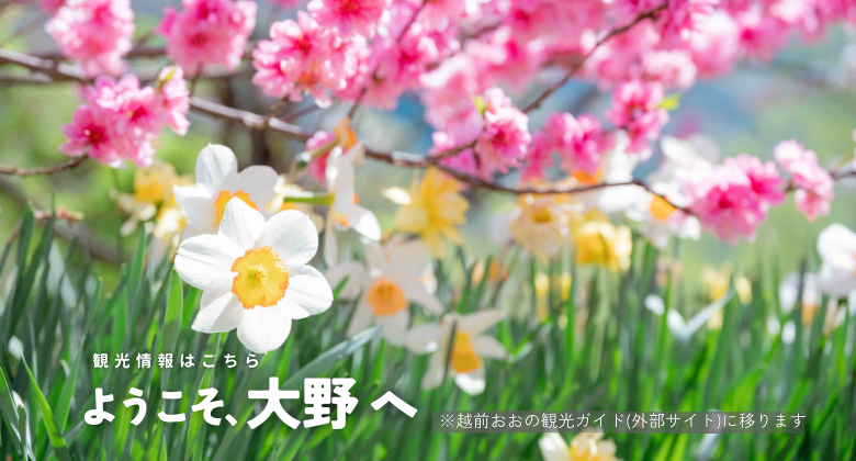 水仙　クリックでえちぜんおおの観光ガイドホームページへ移動します