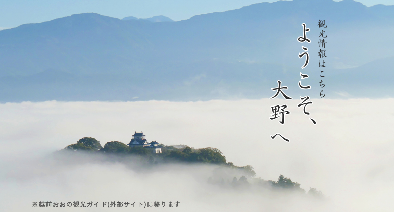 鮎釣り　クリックでえちぜんおおの観光ガイドホームページへ移動します