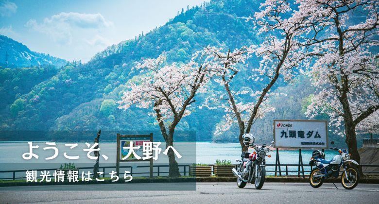 九頭竜ダムと桜　クリックでえちぜんおおの観光ガイドホームページへ移動します