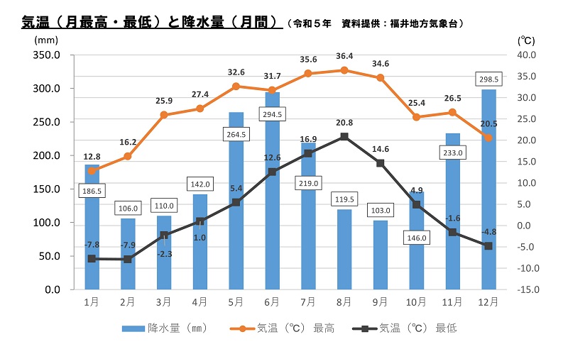 気温と降水量グラフ