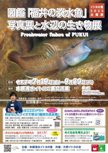 イトヨの里2025企画展　チラシ画像