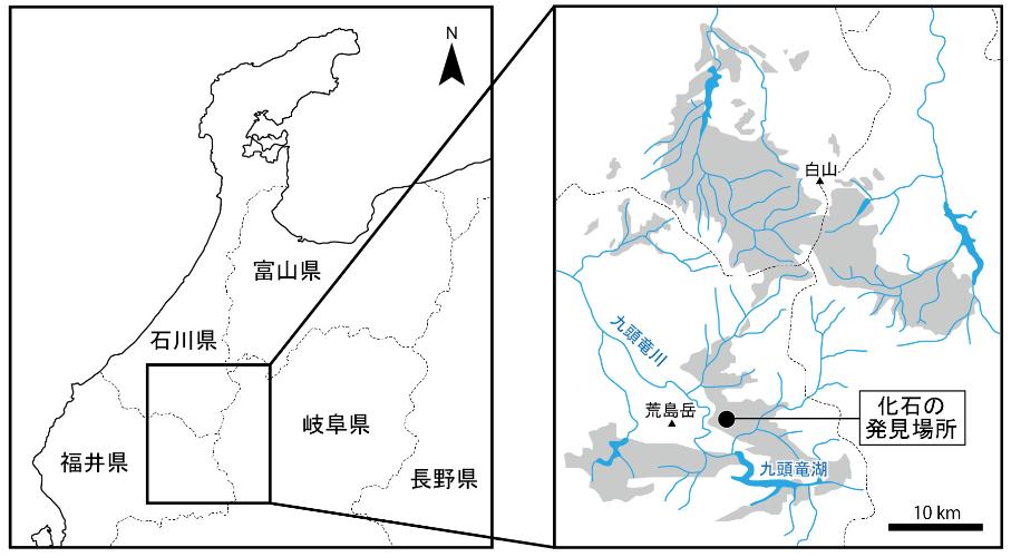 化石の発見場所