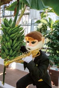 ドゥクラングール