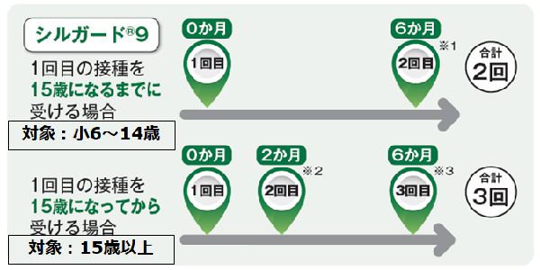 1回目の接種を15歳になるまでに受ける場合(対象は小6～14歳)1回目から6か月後に2回目の合計2回　1回目の接種を15歳になってから受ける場合1回目接種から2か月後に2回目、6か月後に3回目の計3回