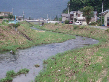 赤根川