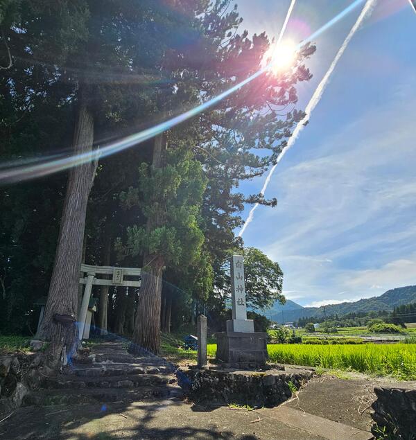 撮影場所 :森本の白山神社