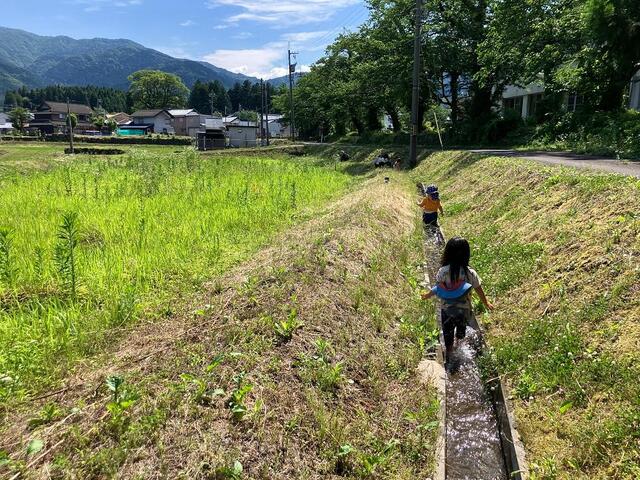 撮影場所:公民館下の田園