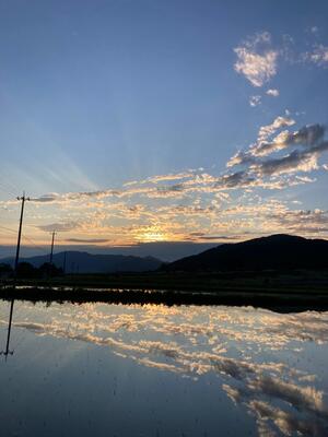 泉町 下出 英樹様