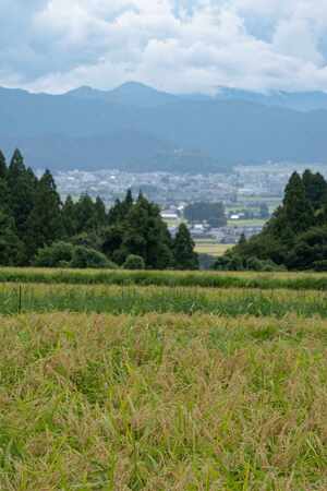 日吉町 戸松亜紀子様2