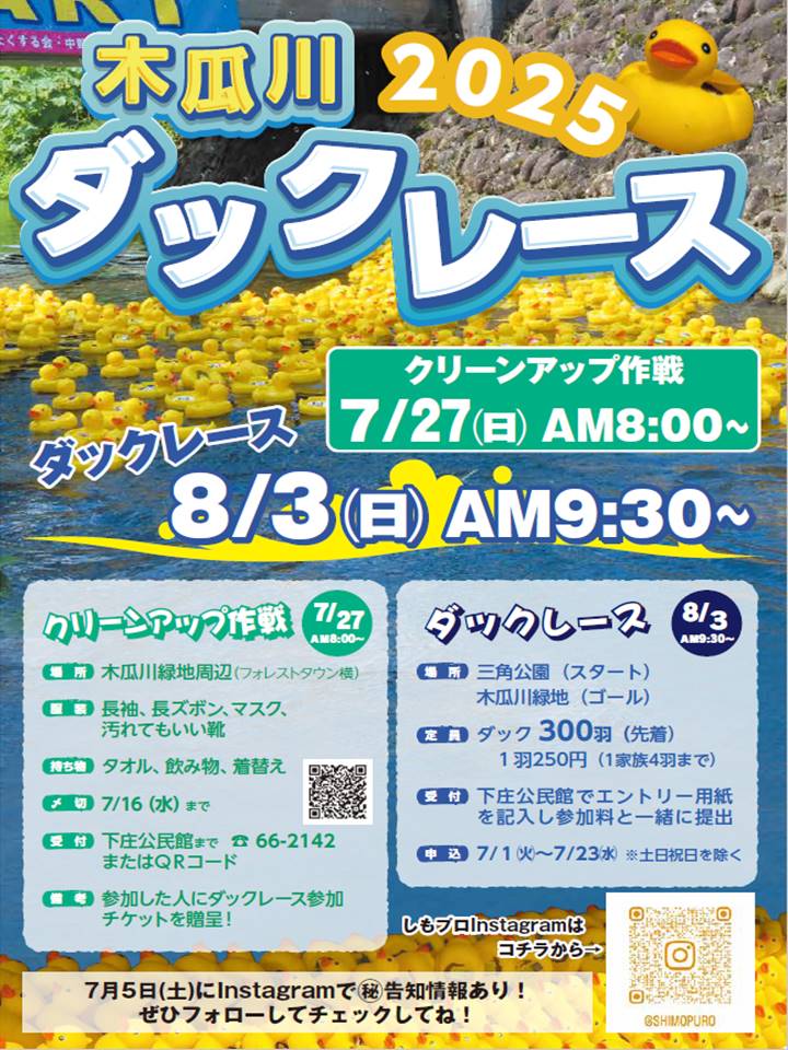 木瓜川ダックレースのチラシ
