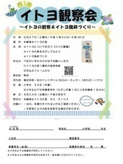 �C�g���ώ@��`���V